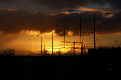 Morning Silhouettes