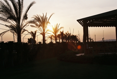 Sunset near ismailia road