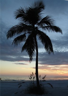 Textbook beach image