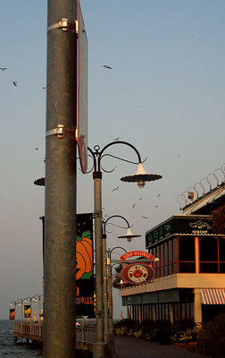 Sunset on the Boardwalk