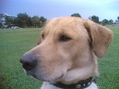 my boy..)