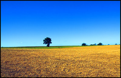 Amish Country XVI