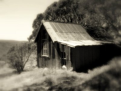 Hut In The High Country