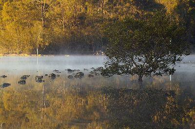 tranquil reflections