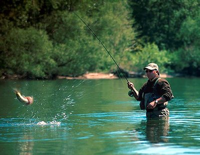 Smallmouth on the fly