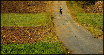 Amish Country XXII