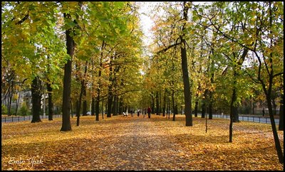 Fall in St. Petersburg-2