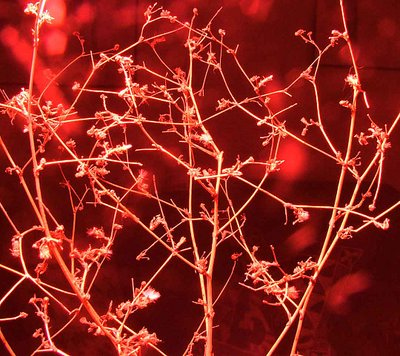 Composition in red