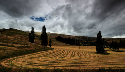 Fruitlands Harvest