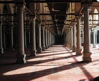 Columns &Shades