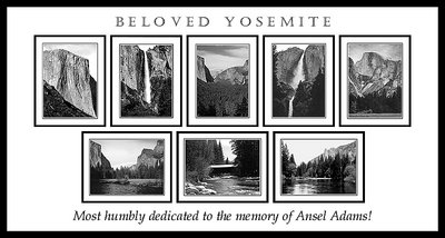 BELOVED YOSEMITE II