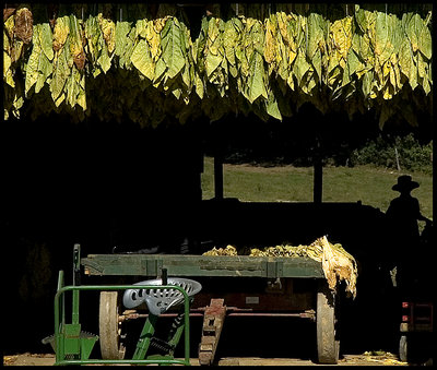 Tobacco Barn