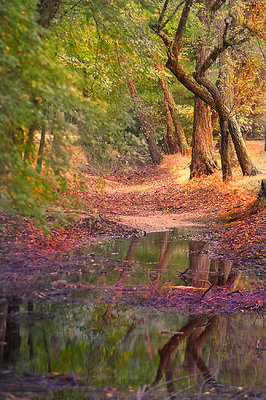 Pond at Allaire