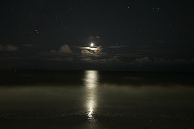 Moonlit beach