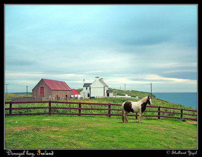 Ireland's views