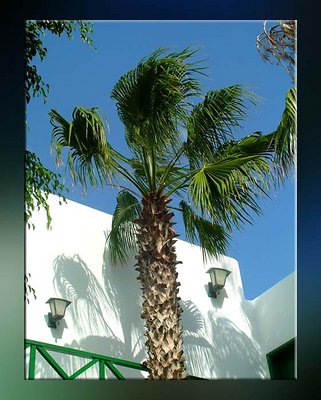 A house in Lanzoroti