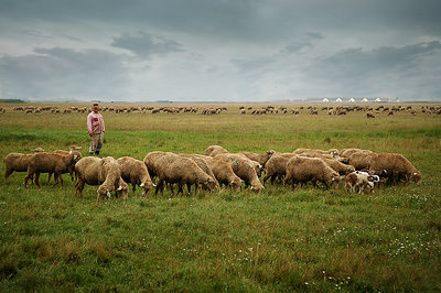 Life on the Puszta 9