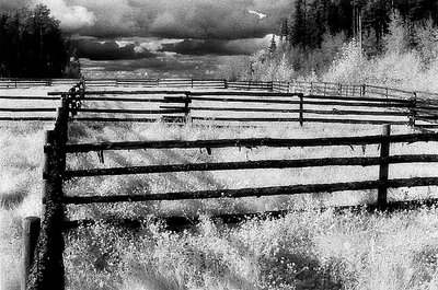 Corralled
