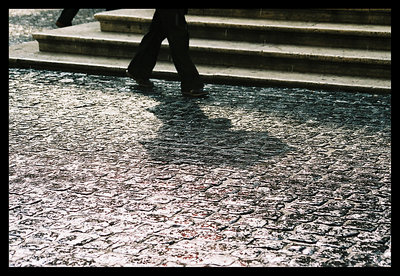Shadows passing by...