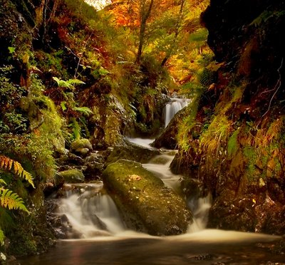 Hidden Waterfall