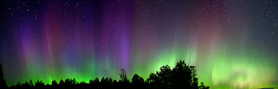 Algonquin Auroras