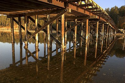 Lattice Bridge