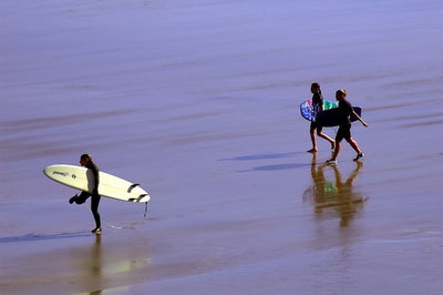 Surfer Dudes