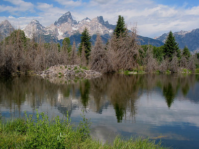 Beaver Hut