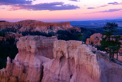 Rosy Pink Sunset