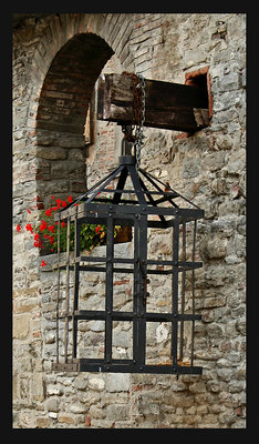 The cage
