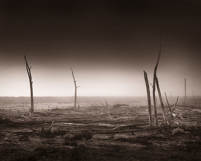 Bolsa Chica Drylands Fog