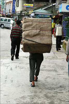 carrying a heavy load