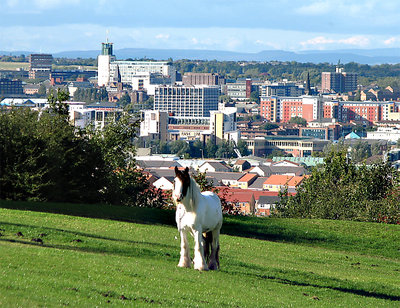 Horse-on-Tyne