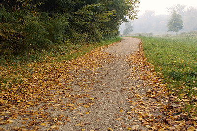 autumn walk