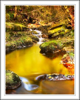 Water in Autumn