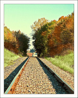 Tracking the Colors