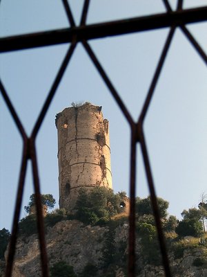 tower in the net