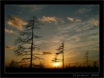 Diagonal Under Sky of Gold