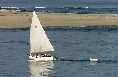 Cat Boat