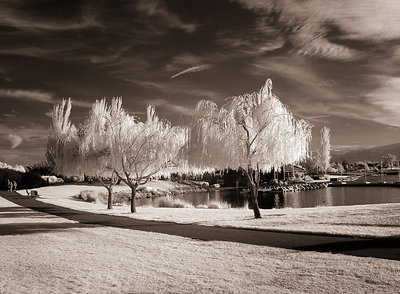 Shoreline Park #1 IR