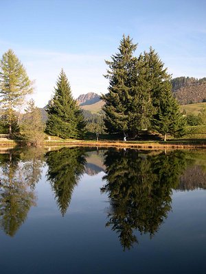 Lac des Joncs (CH)