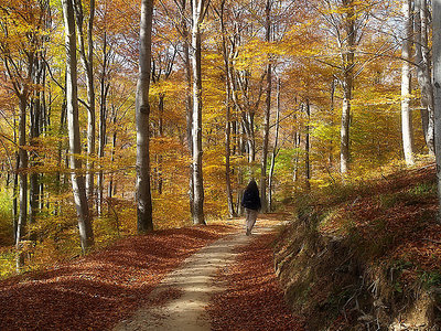 Walking the golden path