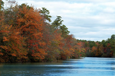 Fall Color