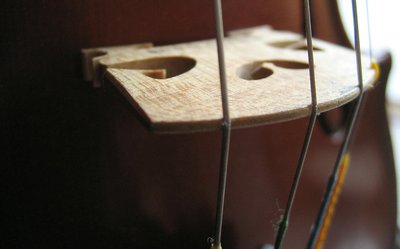 Violin Bridge