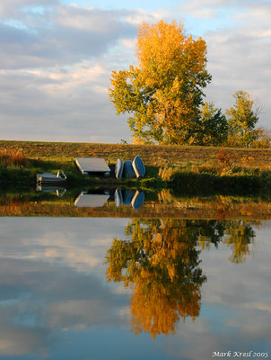 Reflections of Fall