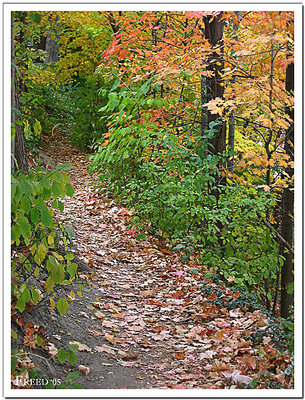 Taking An Autumn Stroll