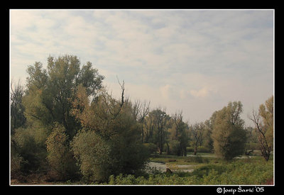 Highnoon In Wetland