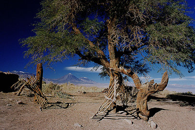 Deserto de Atacama