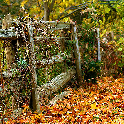 Fall's Gate