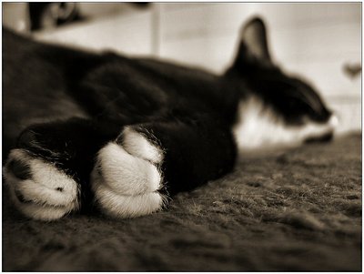 sleeping